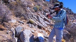 photo thumbnail #8