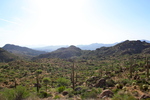 photo thumbnail #12