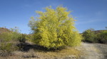 photo thumbnail #4