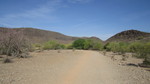 photo thumbnail #8