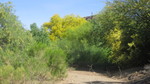 photo thumbnail #9