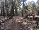 photo thumbnail #3