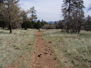 photo thumbnail #7