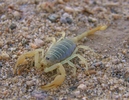 photo thumbnail #10