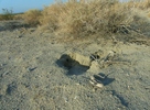 photo thumbnail #12