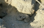 photo thumbnail #13