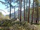 photo thumbnail #1