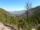 photo thumbnail #4