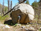 photo thumbnail #5