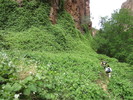 photo thumbnail #12