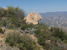 photo thumbnail #14