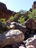 photo thumbnail #8