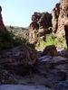 photo thumbnail #9