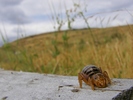 photo thumbnail #3