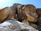 photo thumbnail #5