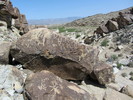 photo thumbnail #7