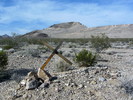 photo thumbnail #12