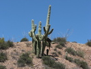photo thumbnail #1