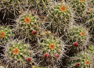 photo thumbnail #12