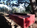 photo thumbnail #1