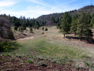 photo thumbnail #7