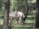 photo thumbnail #6