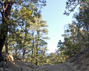 photo thumbnail #7
