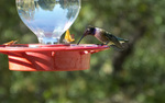 Featured Detail Photo