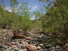 photo thumbnail #5