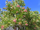 photo thumbnail #10