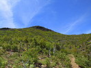 photo thumbnail #12