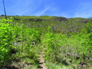 photo thumbnail #13