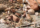 photo thumbnail #14