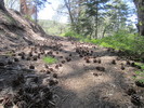 photo thumbnail #2