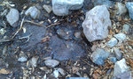Featured Detail Photo