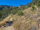 photo thumbnail #3
