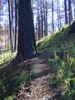 photo thumbnail #10