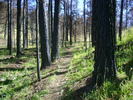 photo thumbnail #12