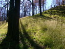 photo thumbnail #13