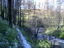 photo thumbnail #14