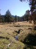 photo thumbnail #15