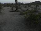 photo thumbnail #1