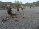 photo thumbnail #2