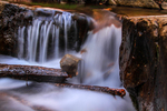 photo thumbnail #2