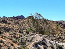 photo thumbnail #1