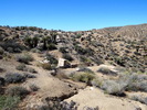 photo thumbnail #6