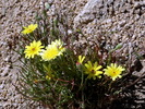 photo thumbnail #15