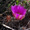 Featured Detail Photo