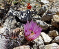 Featured Full Photo