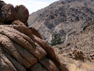 photo thumbnail #13
